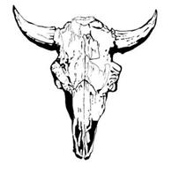 Bison Coffee House