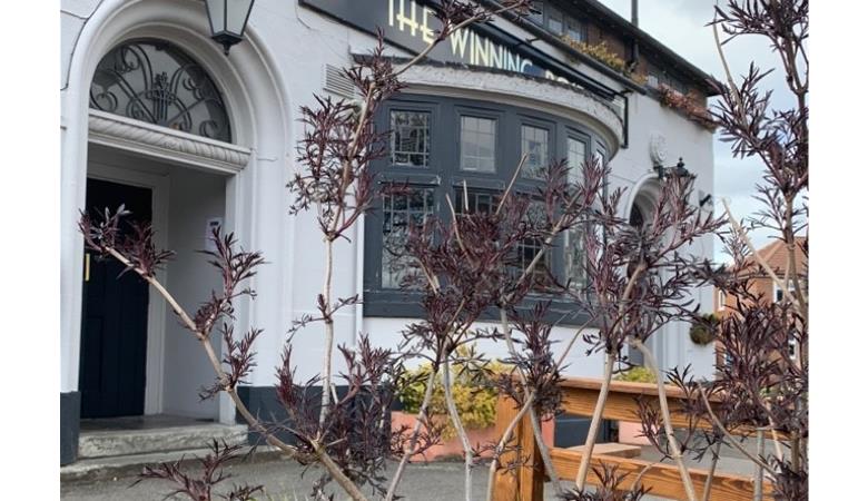 The Winning Post