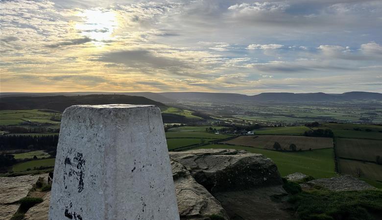 Yorkie Talkies Outdoors