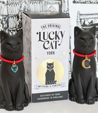 The Cat Gallery