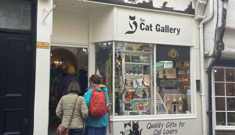 The Cat Gallery